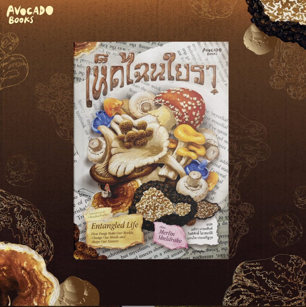 Screenshot 2568-10-05 at 12.56